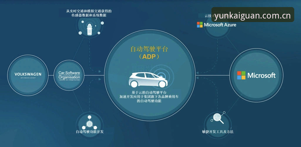 云开体育平台最新动态：v3.1.0版本深度评测与用户反馈全解析